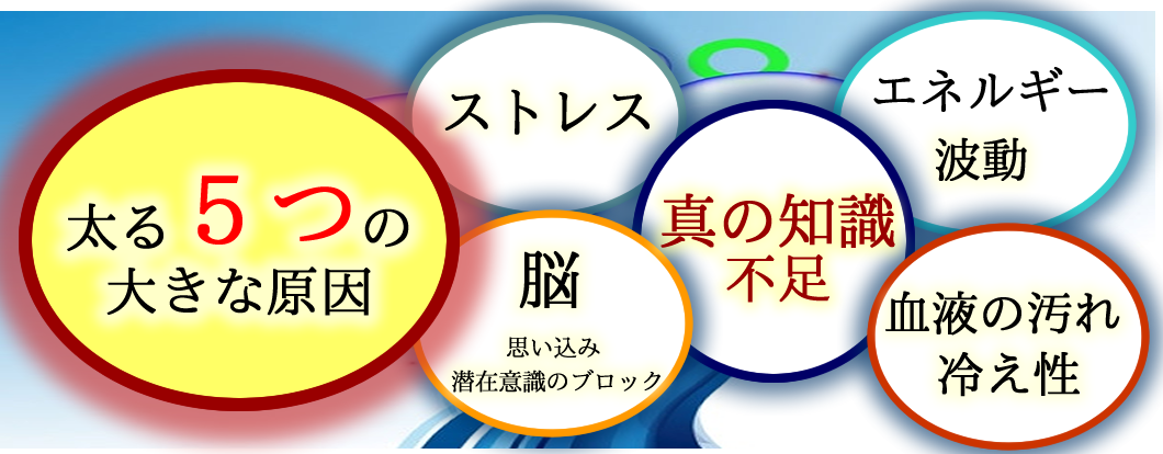 ダイエット|太る原因